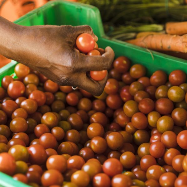 hand-holding-cherry-tomato-plastic-crate-market